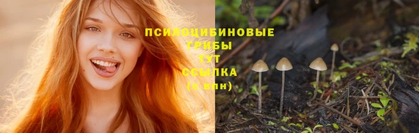 каннабис Арсеньев