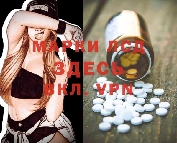 спайс Аркадак