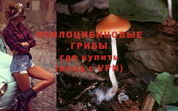каннабис Арсеньев