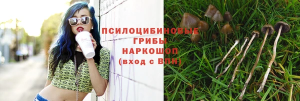спайс Аркадак